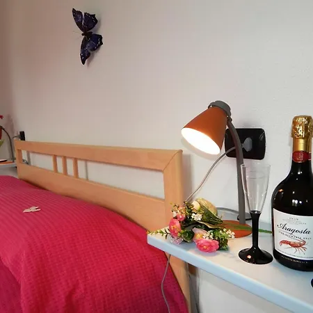 Apartment Sa Curcurica *
